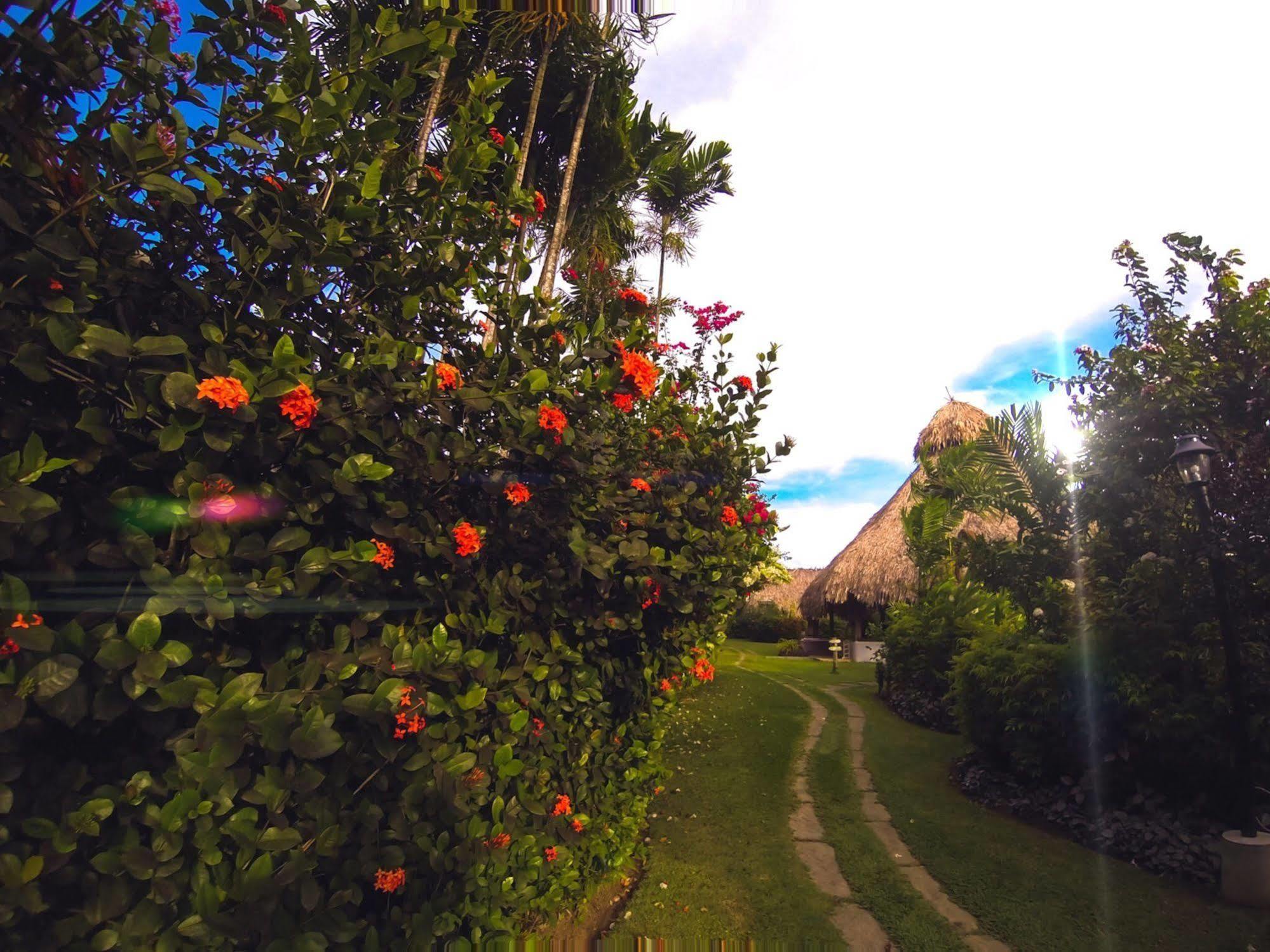 Kariwak Village Holistic Haven Crown Point Luaran gambar